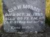 George Washington Morris gravestone