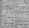 George W. Hoyt death certificate
