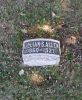 Lillian Sweet (Towner) Allen gravestone