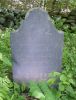 David Adams Goodrich gravestone
