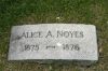 Alice Adelia Noyes footstone