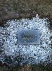 Minnie Aalbin (Baker) Noyes gravestone