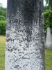 John L. Sill gravestone